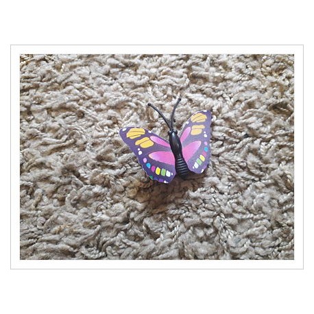 Pinza Butterfly